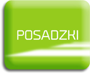 posadzki żywiczne